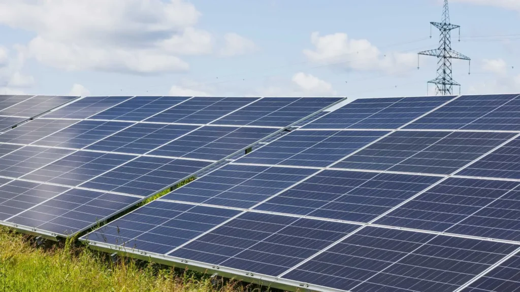photograph of ground mount solar panels outside sunny day